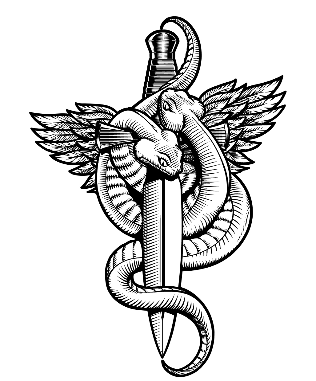 illustration